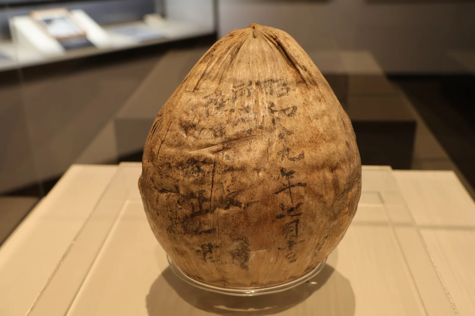 ヤシの実の実物。今もはっきりと、文字が読み取れます