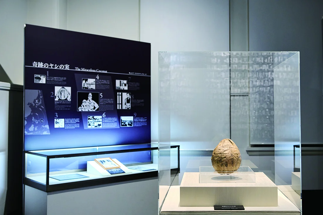 奇跡のヤシの実に出合えるのは、展示室16