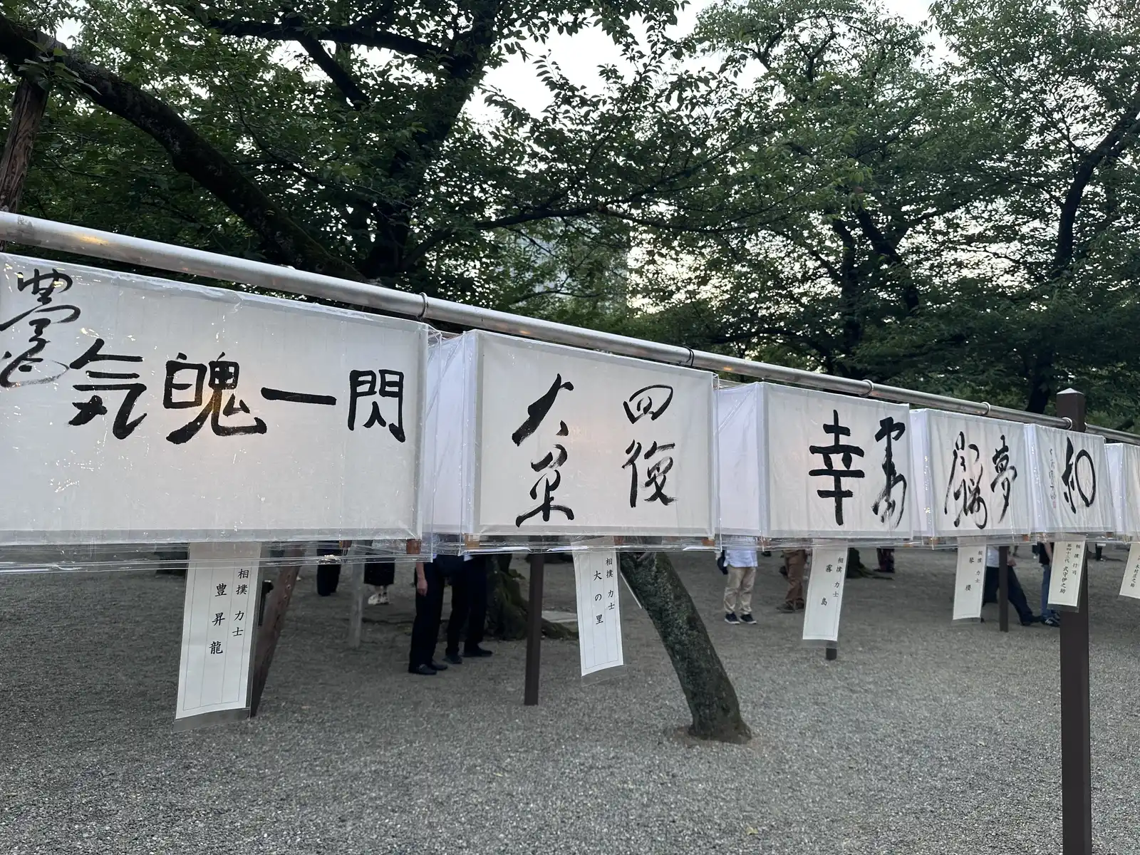 横綱 大の里の揮毫による懸雪洞