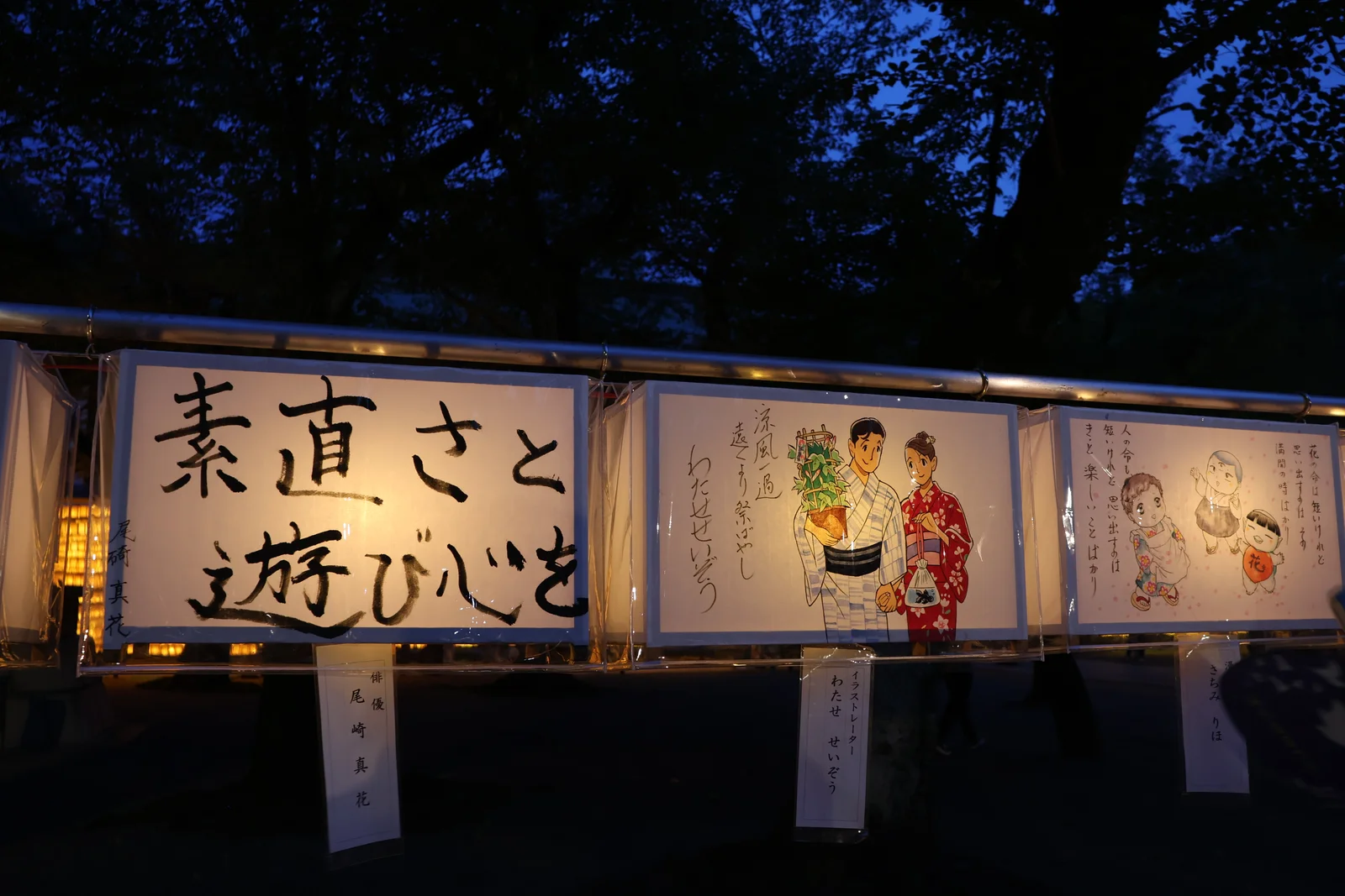 期間中毎日、夕刻になると点灯