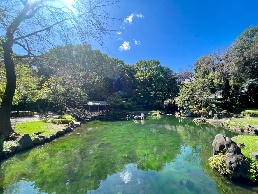秋が深まるとモミジやケヤキが色づく「神池庭園」。紅葉の時期にも訪れたい場所。
