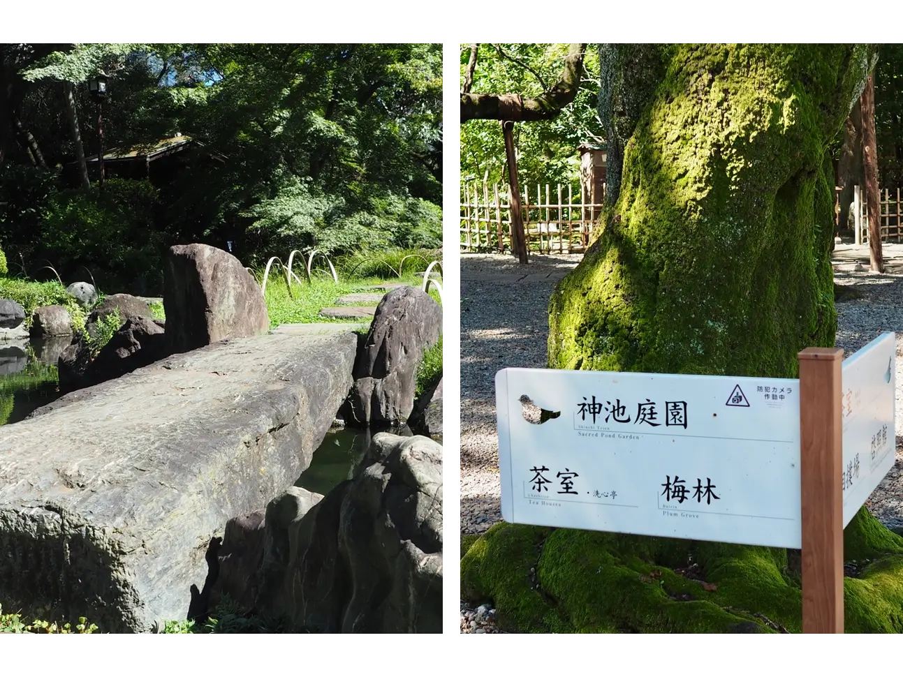 切石橋も見どころのひとつ。