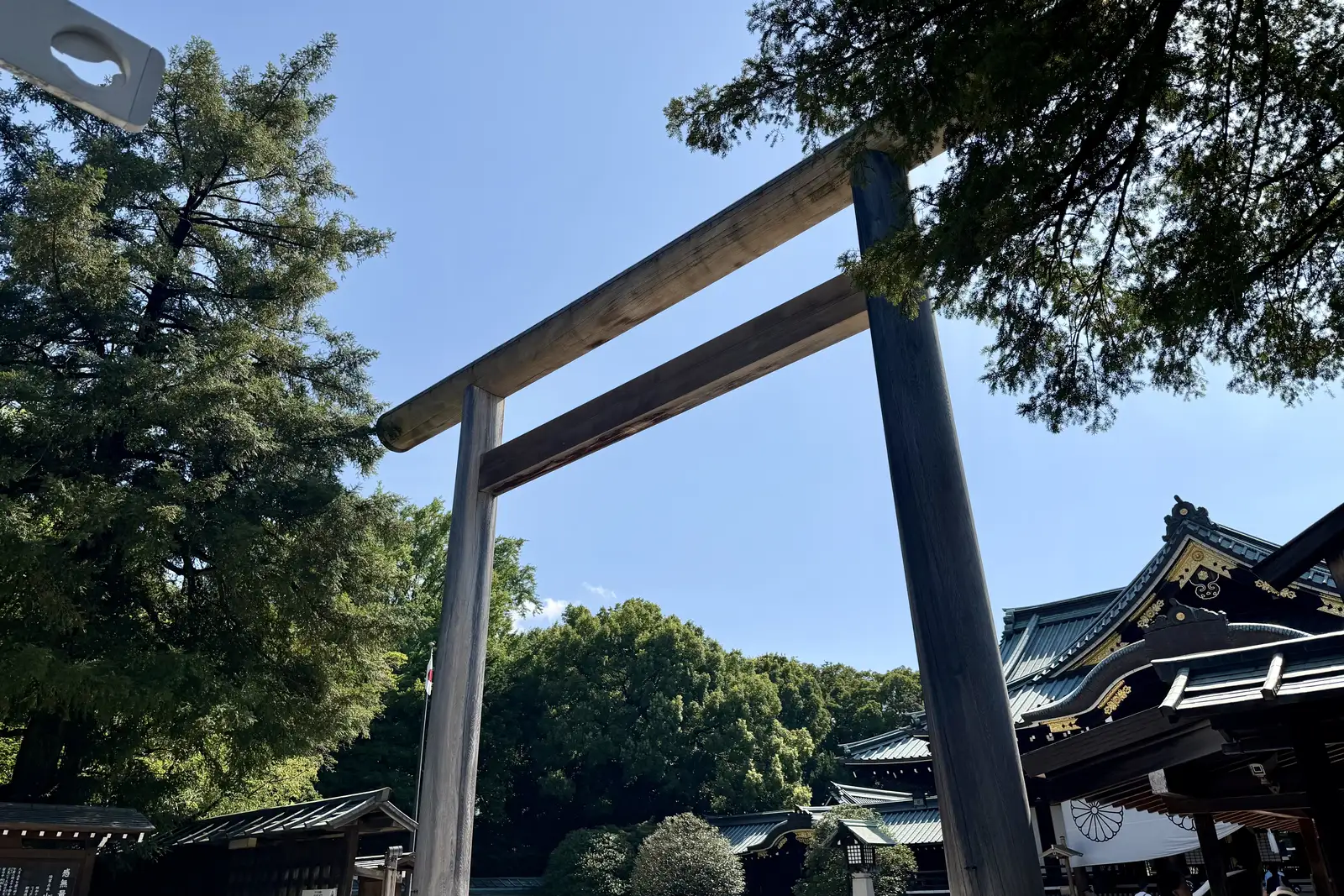 拝殿前には中門鳥居