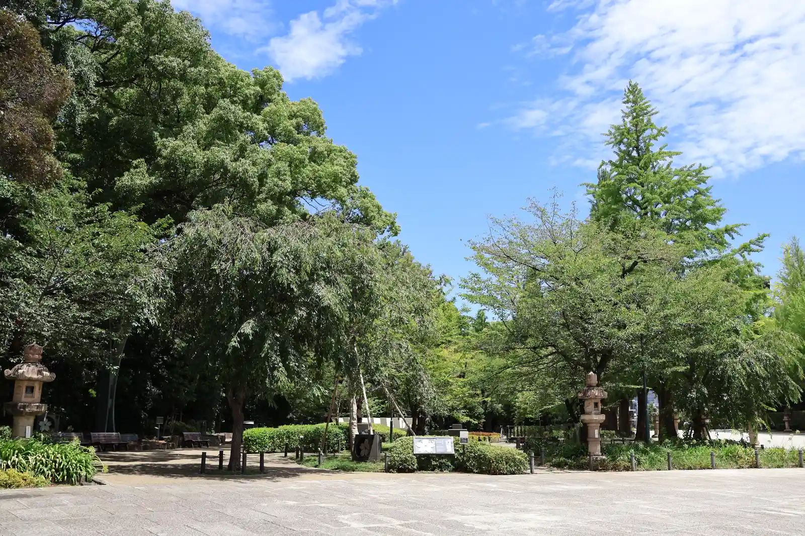 夏の靖國神社の参道